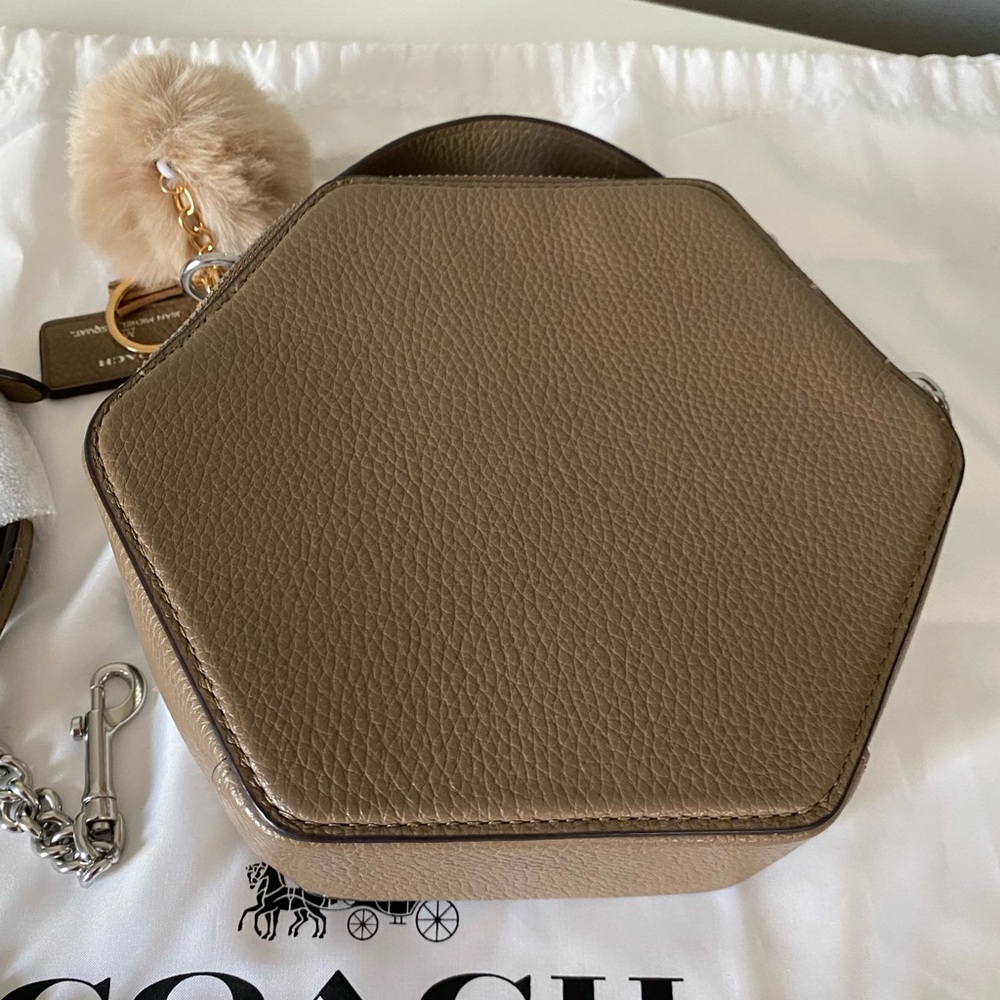 Coach X Jean Michel Basquiat Hexagonal Crossbody - Picture 6 of 10
